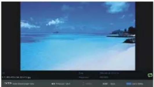 NEVIR NVR-7408-28HD-N - Photo - 1