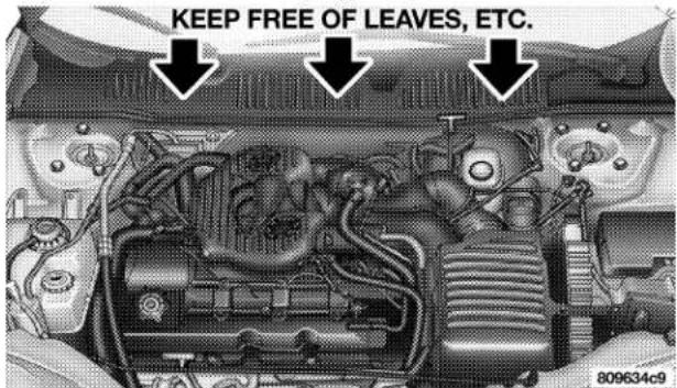 KEEP FREE OF LEAVES, ETC. 809634c9