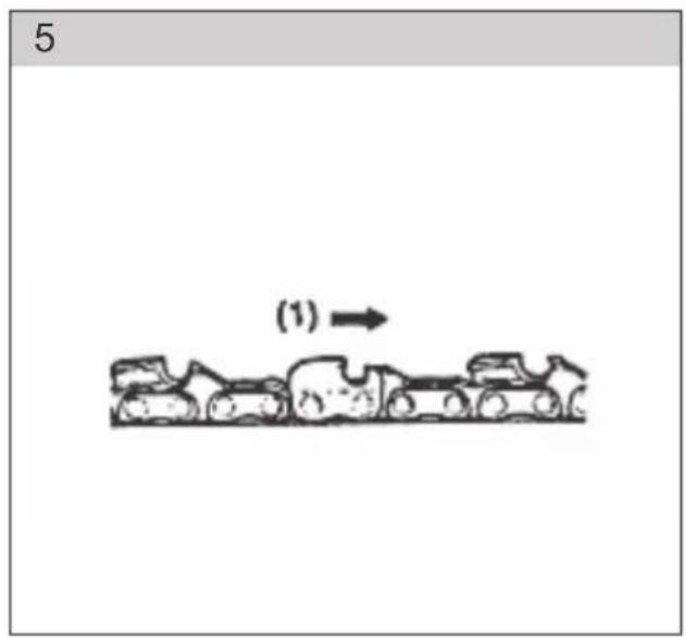 5 (1)