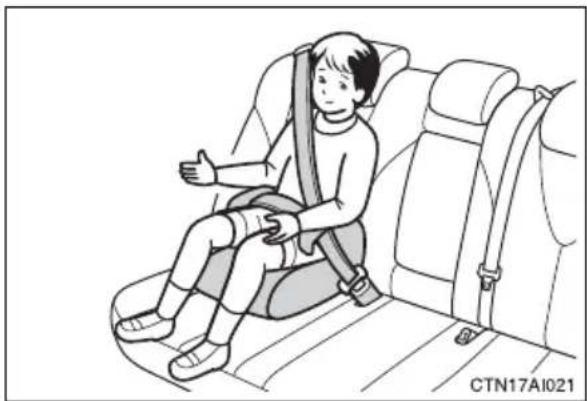 TOYOTA Camry Hybrid (2010) - Types of child restraints - 3