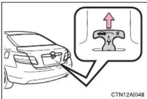 CTN12AI048