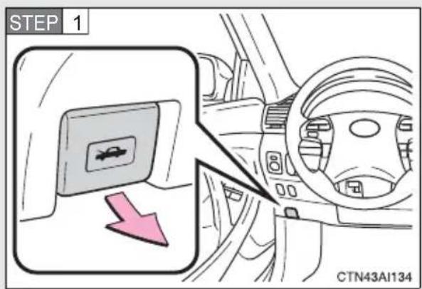 STEP 1 CTN43AI134