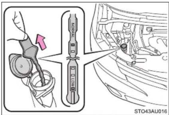 NORMAL LOW STO43AU016