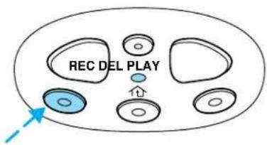 REC DEL PLAY