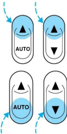 AUTO AUTO
