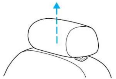 FORD Windstar (2001) - Head restraints - 1