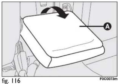 Line drawing of a device with a black arrow indicating rotation, labeled 'A' and 'fig. 116' (no text or symbols on the diagram itself)