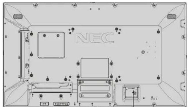 NEC