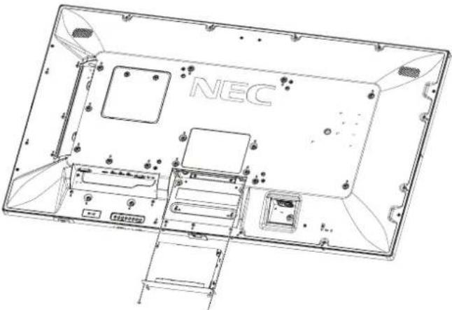 NEC
