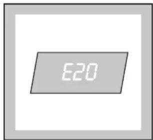 E20