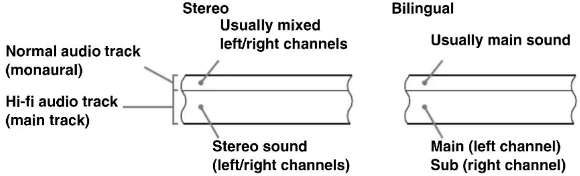 Stereo Usually mixed left/right channels Normal audio track (monaural) Hi-fi audio track (main track) Stereo sound (left/right channels) Bilingual Usually main sound Main (left channel) Sub (right channel)