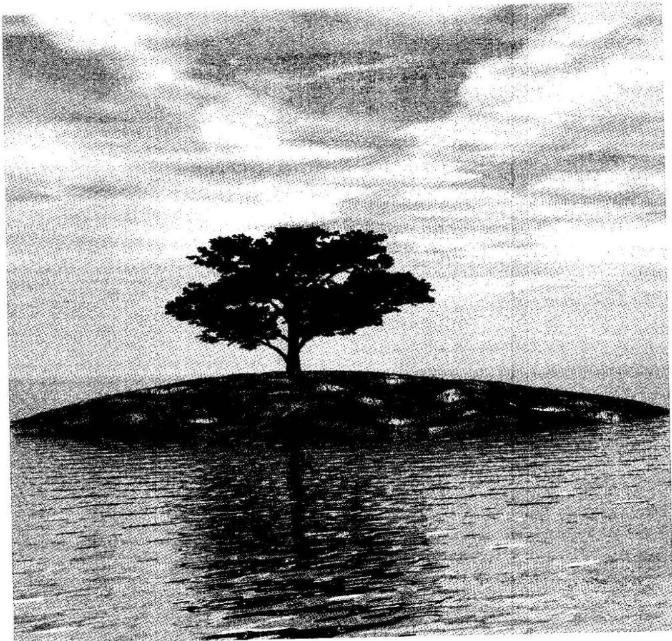 Black-and-white illustration of a lone tree on a small island with water reflection (no text or symbols)