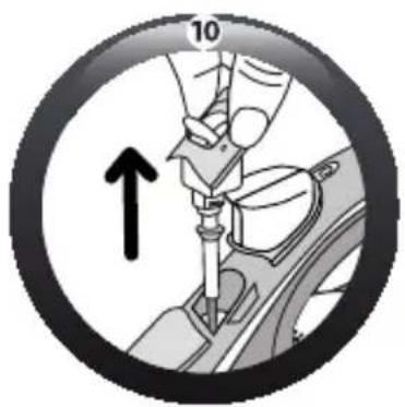 10 ↑
