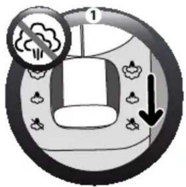 Diagram showing a car with exhaust smoke and a circular warning sign, indicating no exhaust.