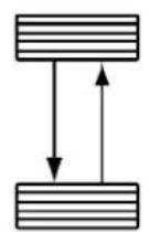 Chrysler 300 SRT (2009) - Tire Rotation — Standard Tires - 1