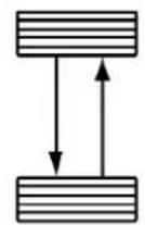 Chrysler 300 SRT (2009) - Tire Rotation — Standard Tires - 2