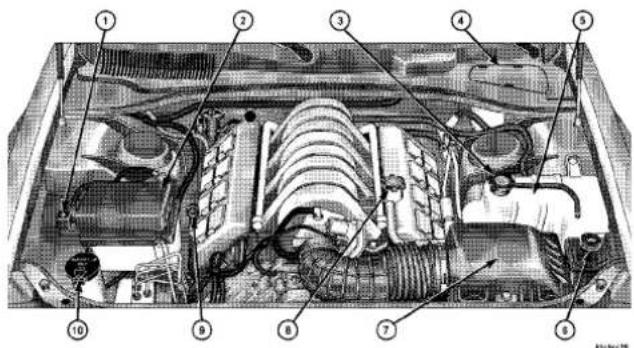 Technical diagram of a car engine bay with numbered components for identification