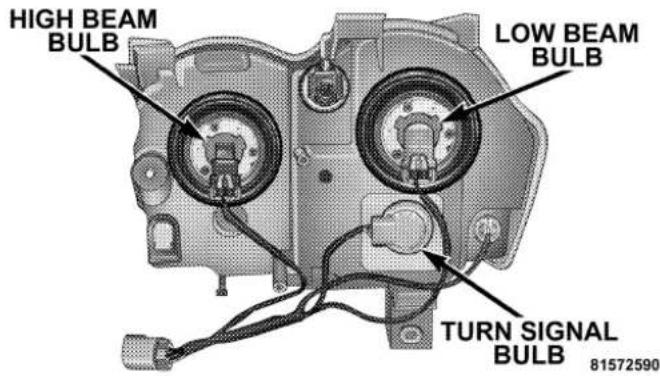 HIGH BEAM BULB LOW BEAM BULB TURN SIGNAL BULB 81572590