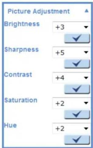 Picture Adjustment Brightness +3 Sharpness +5 Contrast +4 Saturation +2 Hue +2