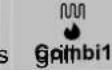 CLATRONIC MWG 762 - Mikrohullám és grill (Comb - 1