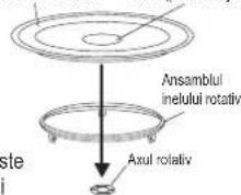 Ansamblul inelului rotativ Axul rotativ