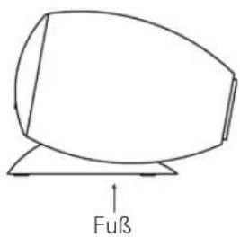 Fuß