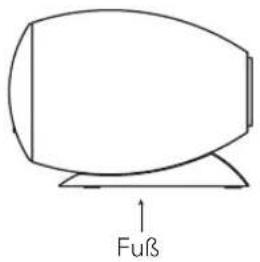 Fuß