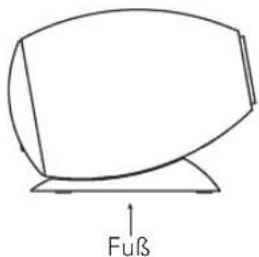 Fuß