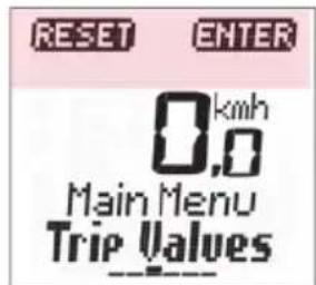 RESET ENTER 0 km/h 0.0 Main Menu Trip Values