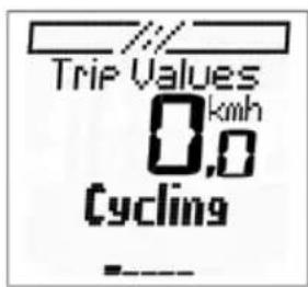 Trip Values 0,0 km/h Cycling