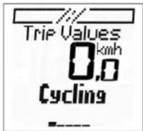 Trip Values 0.0 km/h Cycling