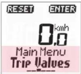 RESET ENTER 0.km/h 0,0 Main Menu Trip Values