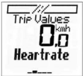Trip Values km/h 0,0 Heartrate ---