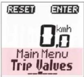 RESET ENTER 0.km/h 0.0 Main Menu Trip Values