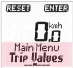 RESET ENTER 0.km/h 0,0 Main Menu Trip Values
