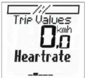 Trip Values km/h 0,0 Heartrate ---