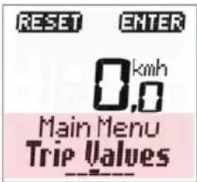 RESET ENTER 0.km/h 0,0 Main Menu Trip Values