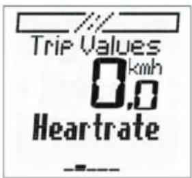 Trip Values 0.0 km/h Heartrate