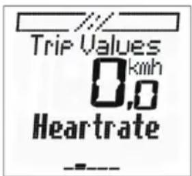 Trip Values 0,0 km/h Heartrate ----