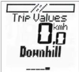 Trip Values 0,0 km/h Downhill
