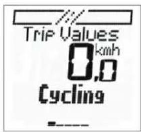 Trip Values 0,0 km/h Cycling