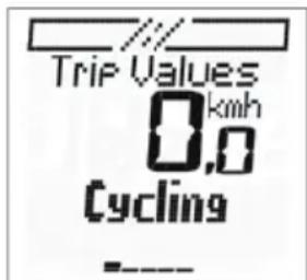 Trip Values 0.0 km/h Cycling