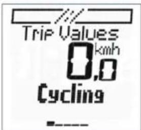 Trip Values 0.0 km/h Cycling