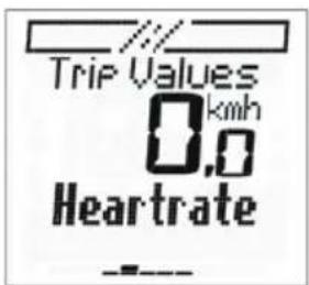 Trip Values 0,0 km/h Heartrate