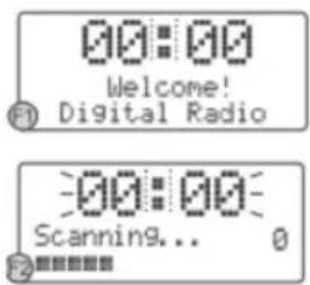 00:00 Welcome! Digital Radio 00:00 Scanning... 0