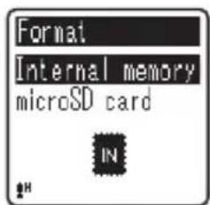 Format Internal memory microSD card IN