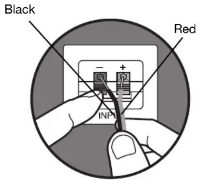 Black Red INPUT