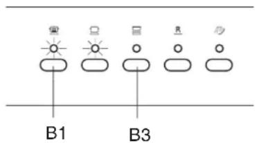 偏 B1 B3