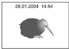 TOSHIBA E-Studio 3511 - Press the [START] button. - 2