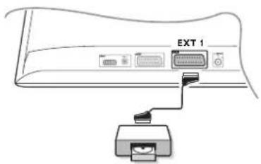 EXT 1